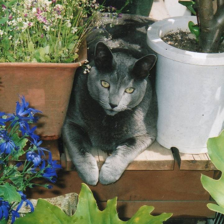 Dabab669 daef 4b09 972f e14bf27da60b