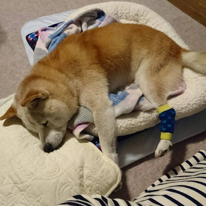 Dabac392 b5a6 42a9 872a 47c6200381f4