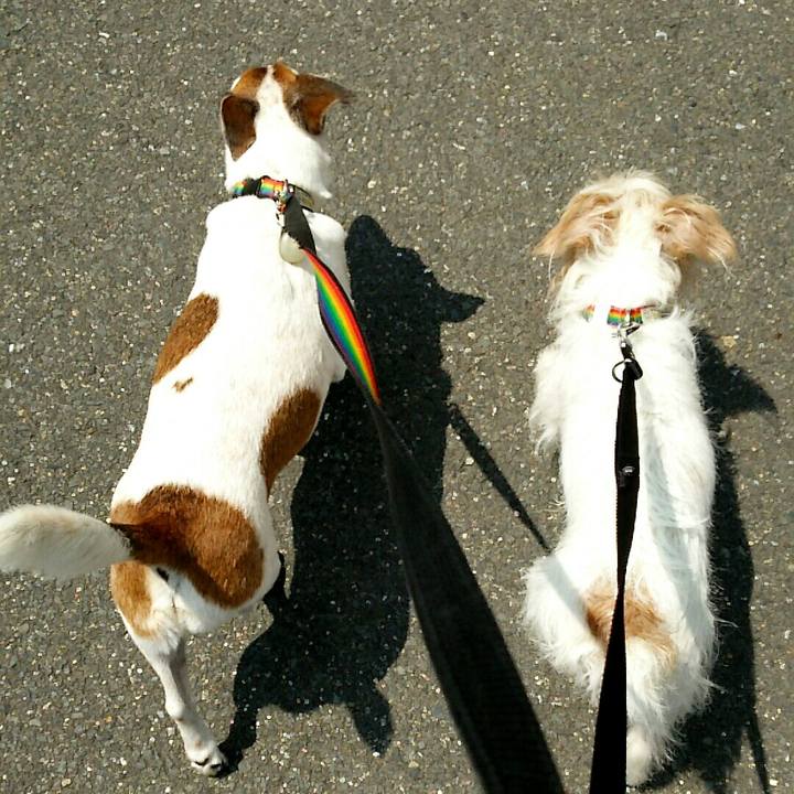 Dabb43dd 65c4 4ff8 bbb5 2b5ef4b89378