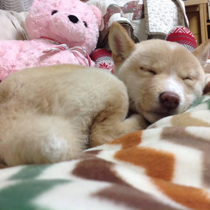 Dabb6489 25d3 4eb9 8c93 55fe9b4da61b