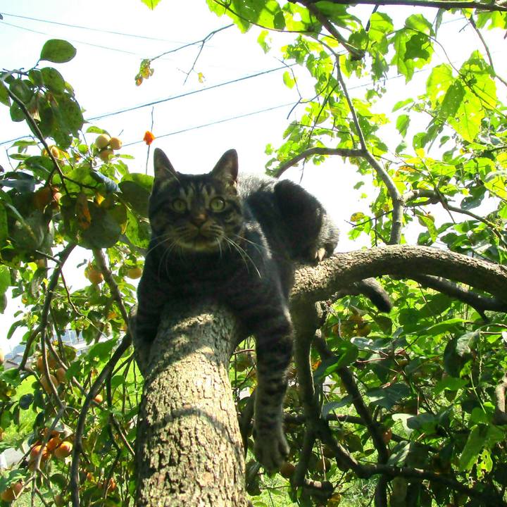 Dabbb279 141f 4d89 9cdd 3bfc5797c45a