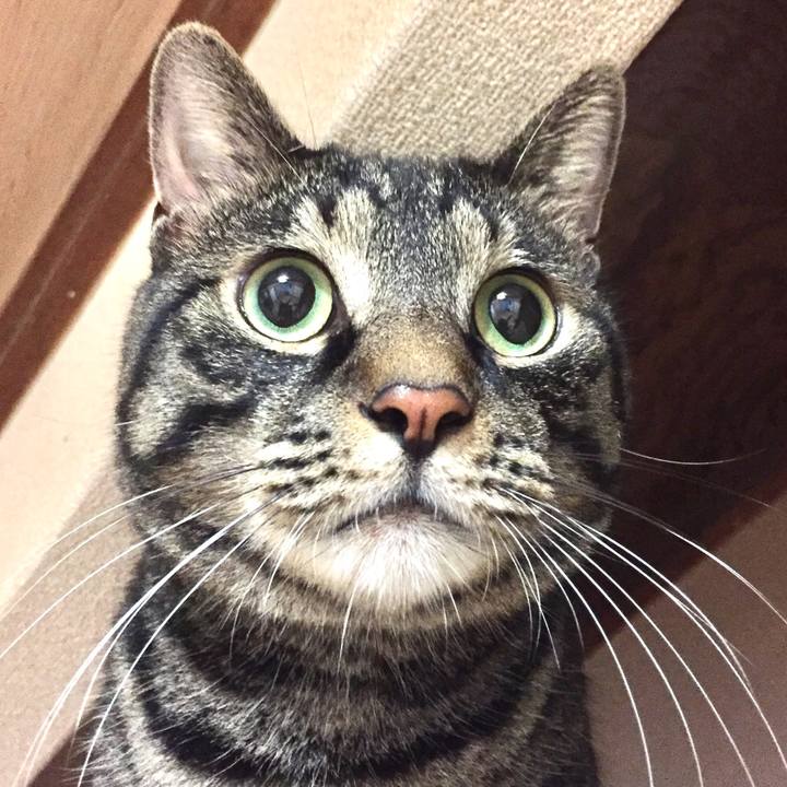 Dabbfc36 2d3b 45b4 b47e 0dabc0604c4b