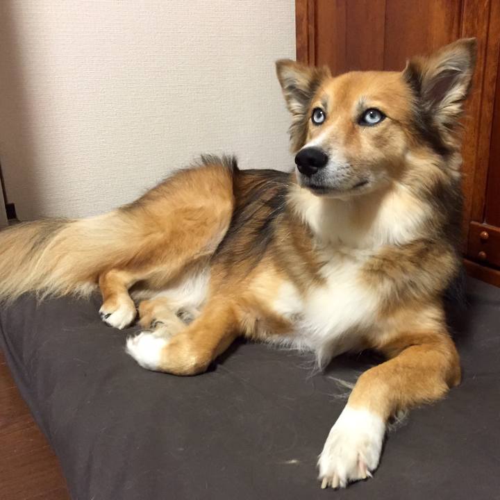 Dabc7eb5 4e95 4082 9c95 6fc1f95fb3e9