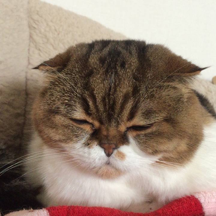 Dabc9754 9492 4ce8 84a8 7db54c7620d2