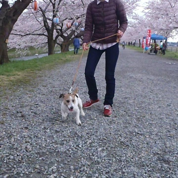 Dabcd2e7 8180 4035 9a78 017a2dd1924d