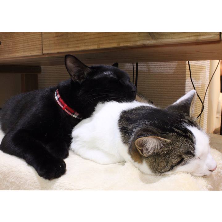 Dabd1789 b033 4743 a337 dca019ad9be0