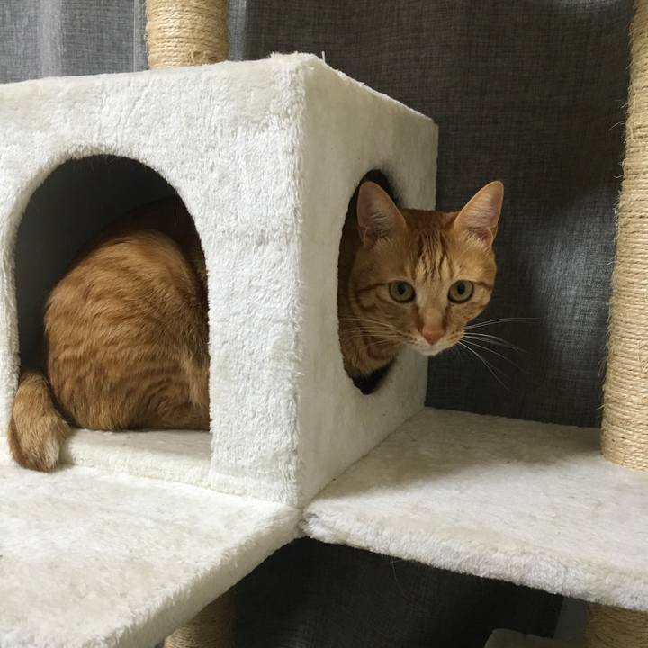 Dabd6744 fd03 43a4 9e70 396cd0a3419d