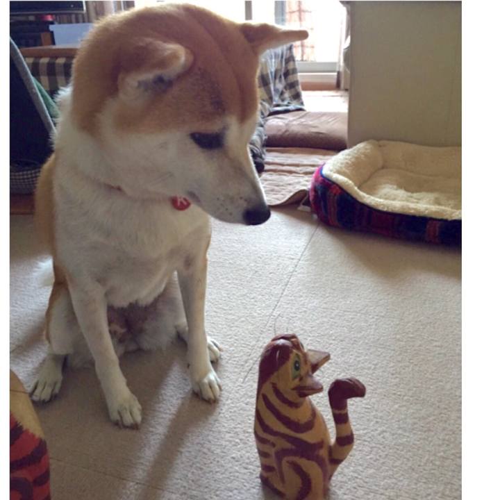 Dabe0b7a f0d8 481c a414 cc36b2c17e23