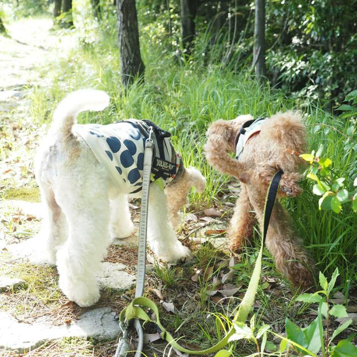 Dabead46 37c3 4415 b97e 8d671a3acef5