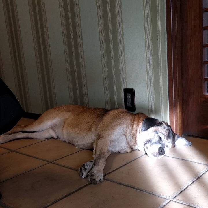 Dabeba0f 4e10 4e67 b498 fcb77e05e8ea