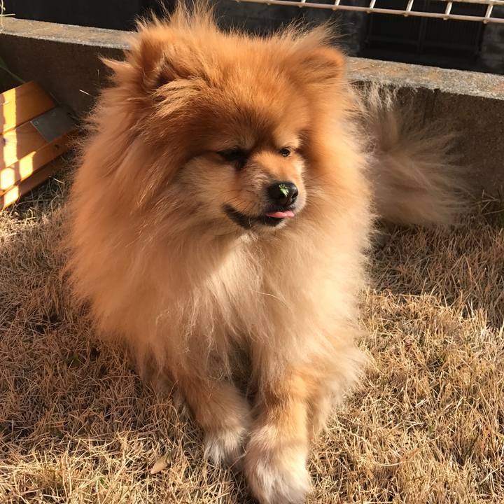 Dabebb29 22be 42f2 882b a190a68a4cae