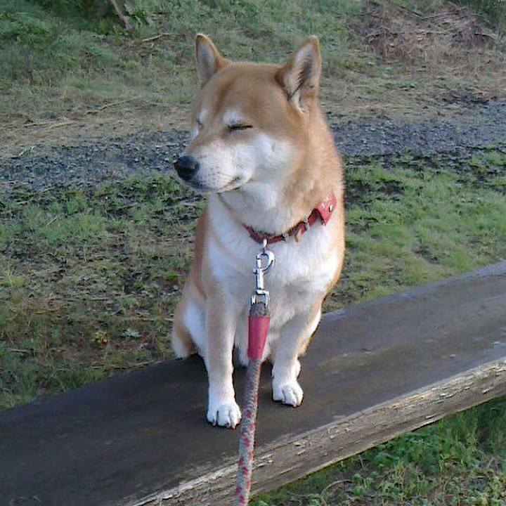 Dabecacf c937 4cd0 b643 d50c4d71399a