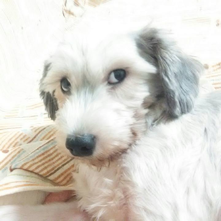 Dabf9794 f4e3 42c9 9045 ee3546684f88