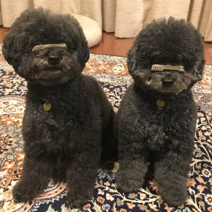 Dabfb805 0f15 4dae 9941 86135e87d736