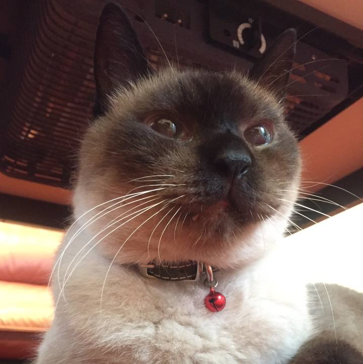 Dac067a5 273e 443f aa85 26a8a9a9d284