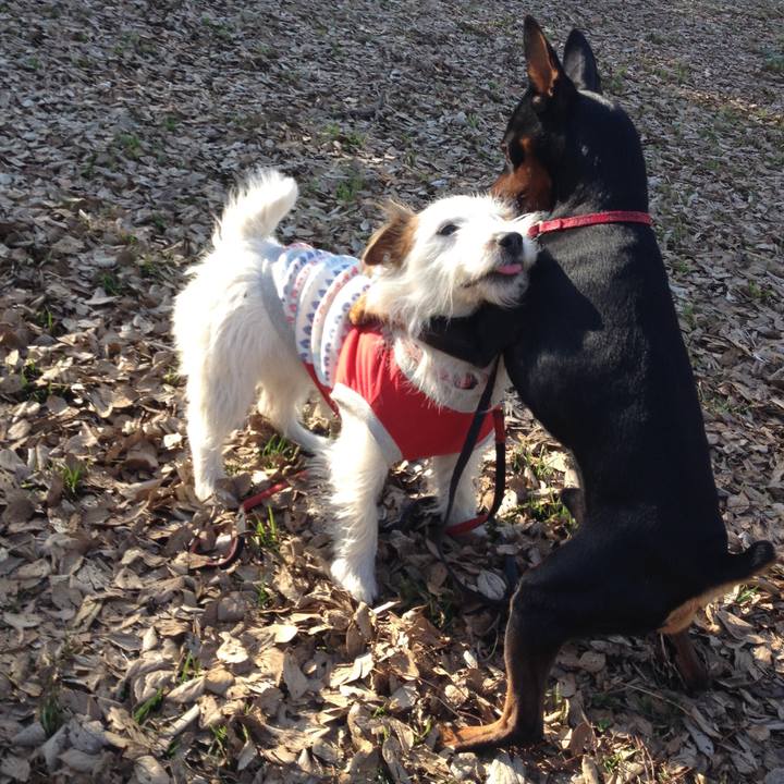 Dac0e105 9cea 4f8c 94b1 3336a293b7c6