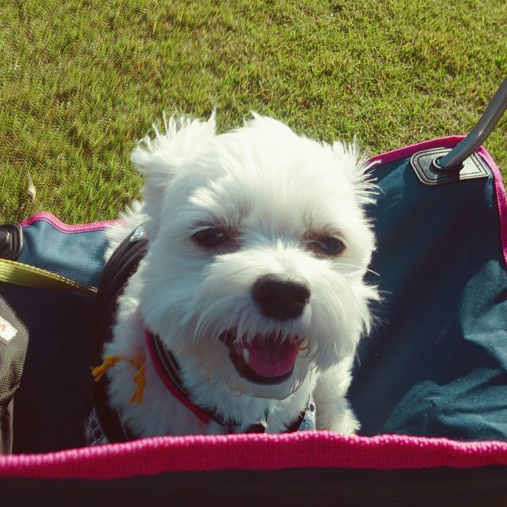 Dac0ffb7 31d7 4dd0 bc1e f5d588f413f1