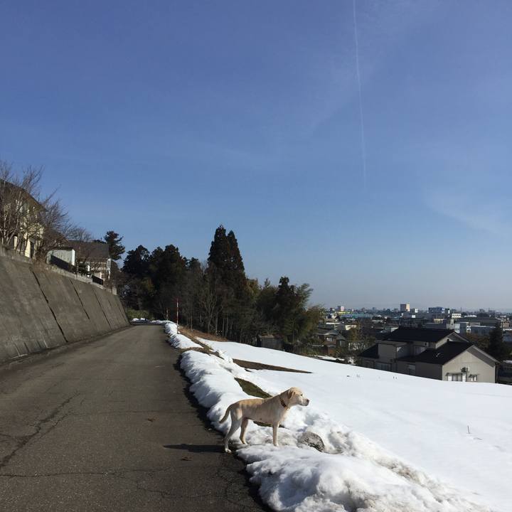 Dac186ff 4659 4261 8c69 1530e1fd8fc7