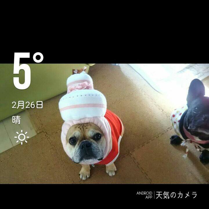 Dac19c4f 01f8 4ffb bf39 f528d7c19643