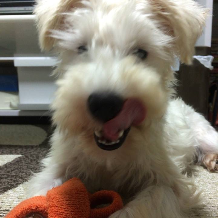 Dac1c4d6 50ee 42d6 bd15 b00ba76704a3