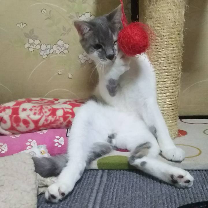 Dac24acf de40 4d0e 9d94 1b4614faaa4a