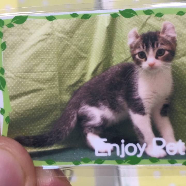 Dac2cc55 1ea7 496c 93f8 457ed17da1ca