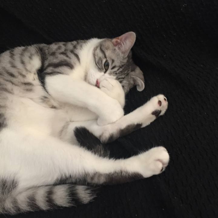 Dac2ec21 f9a0 4a3a b07e 91fe7730a52e