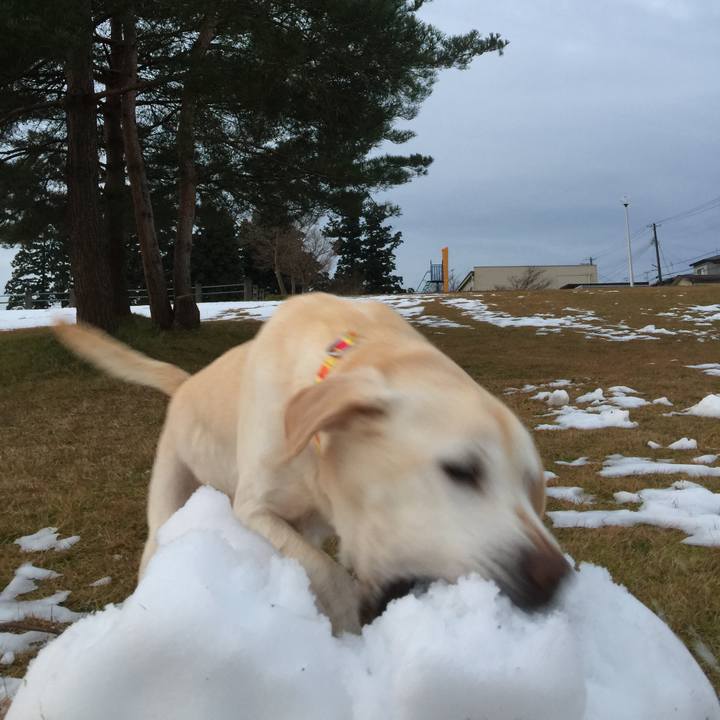 Dac3a802 024c 41ac abca 3630b9ae1981