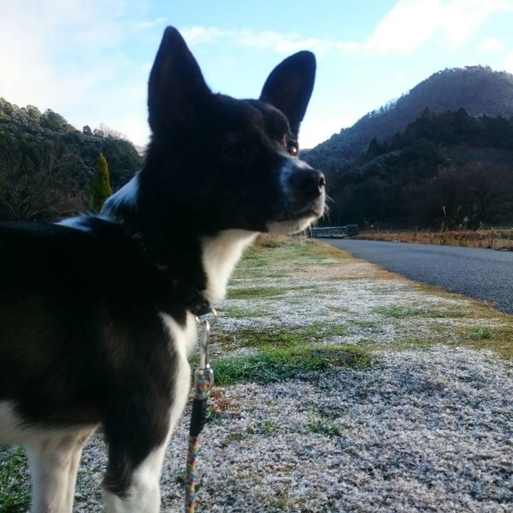 Dac3ff05 5ad8 4b5c 87ae b21d82ab2070