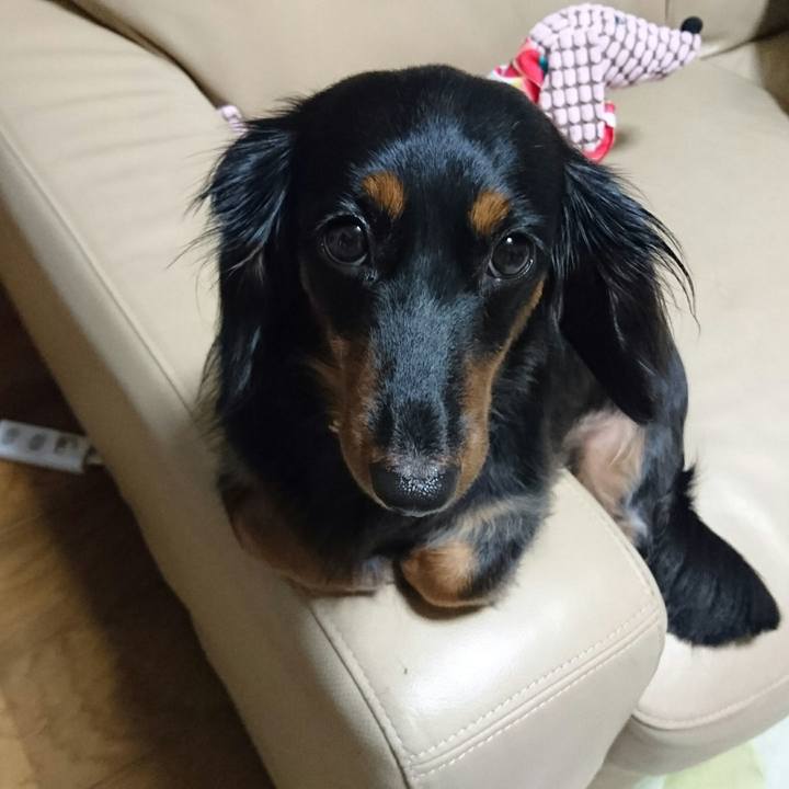 Dac54238 2dc0 4fe3 b6a7 f0cf6340169f