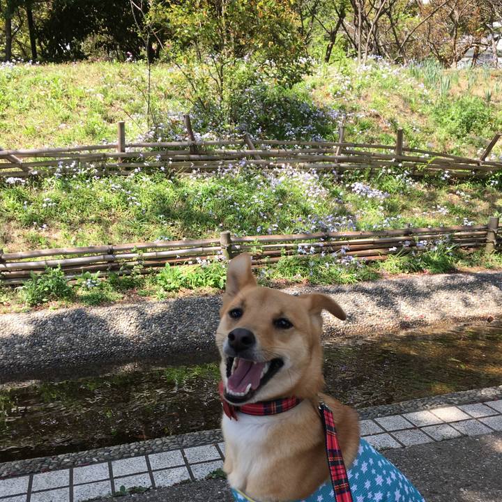 Dac6a8bb f3c5 4d78 b0f1 de58587e473c