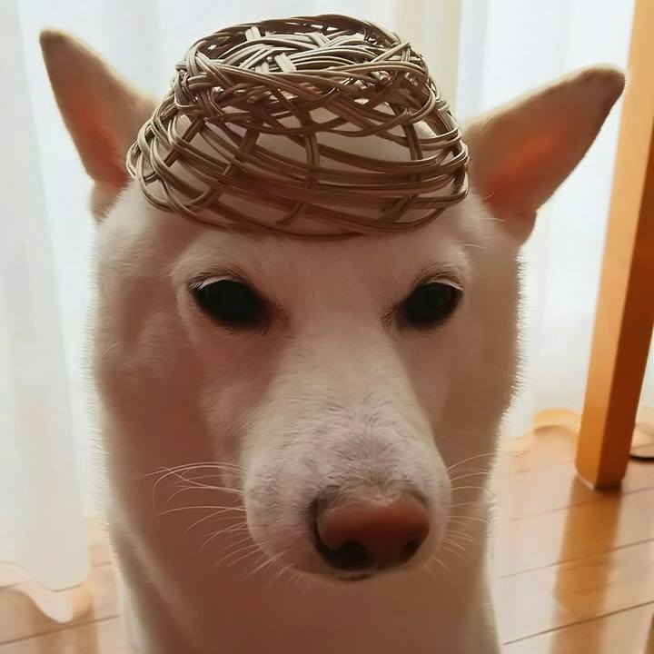 Dac6b890 1be0 4348 a435 088a2f49ce4a