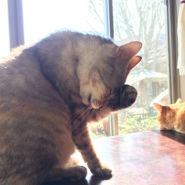 Dac73ca5 9ae3 4f48 9b0a 8784ddd2e2b1