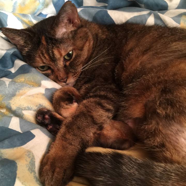 Dac750bb f7a3 44e2 8e18 c6d2202ec4ed