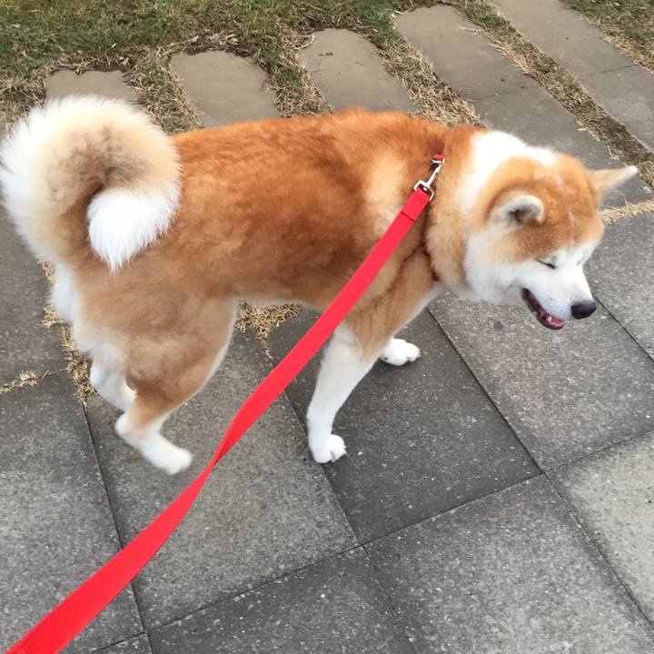 Dac84205 5899 4cf1 960d 2af1443c5f85