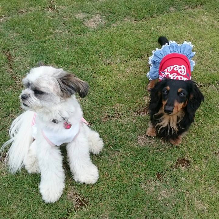 Dac8444c 4e42 41e3 adf0 0235dca23773