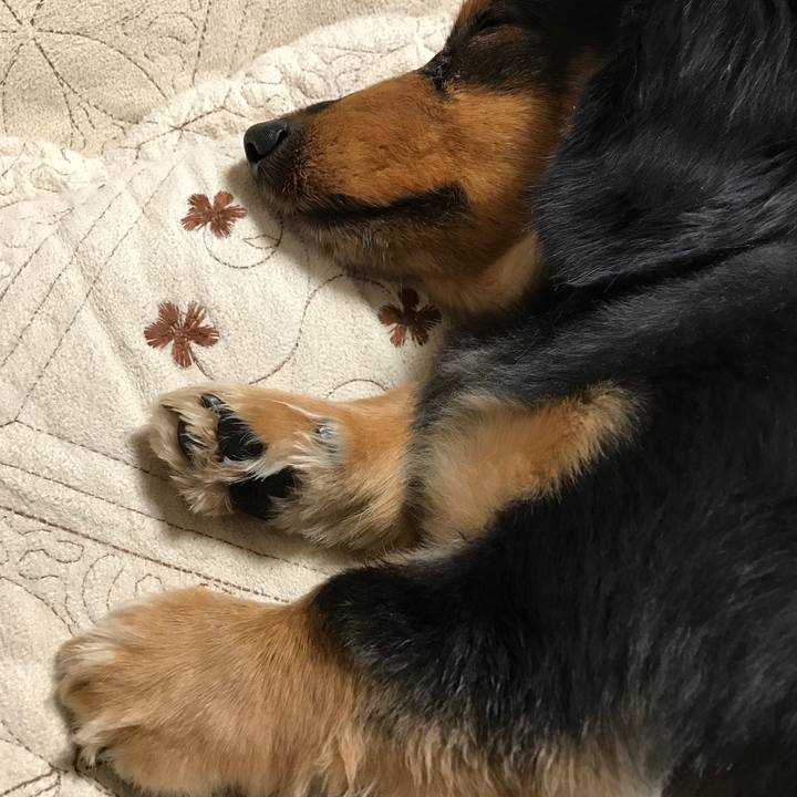 Dac87896 9414 4626 a583 93e9924bba55