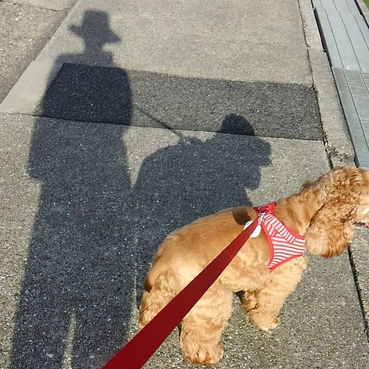 Dac88cd0 c534 401d 8add 72c2f688610b