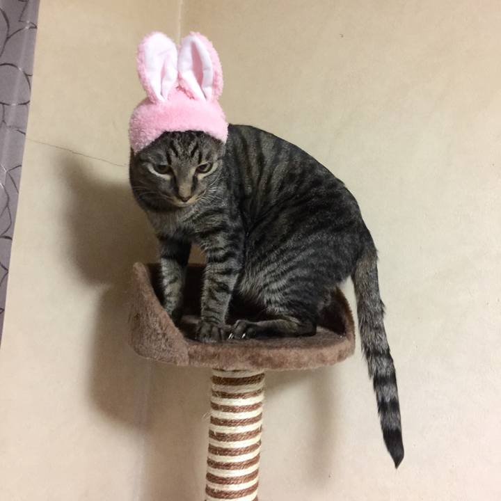 Dac98b79 8e08 48af a1a4 374a257fff10