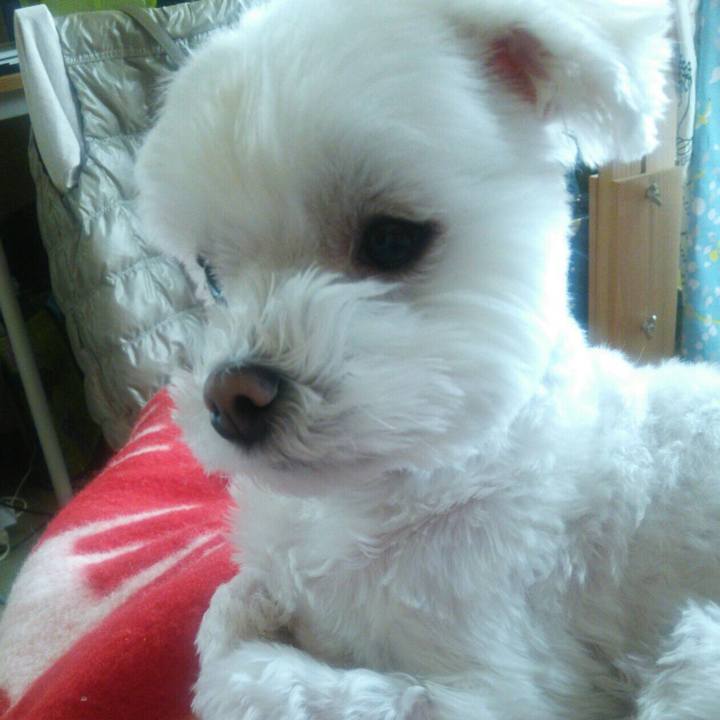 Dacaa026 dcc1 4457 a95f 231d5a08ae81