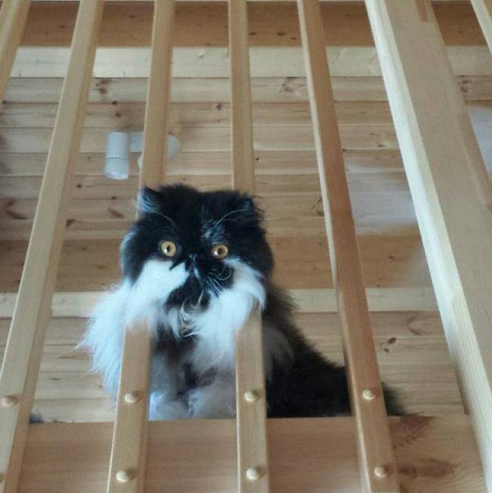 Dacab7b7 c1a5 4516 9800 e04a78e55286