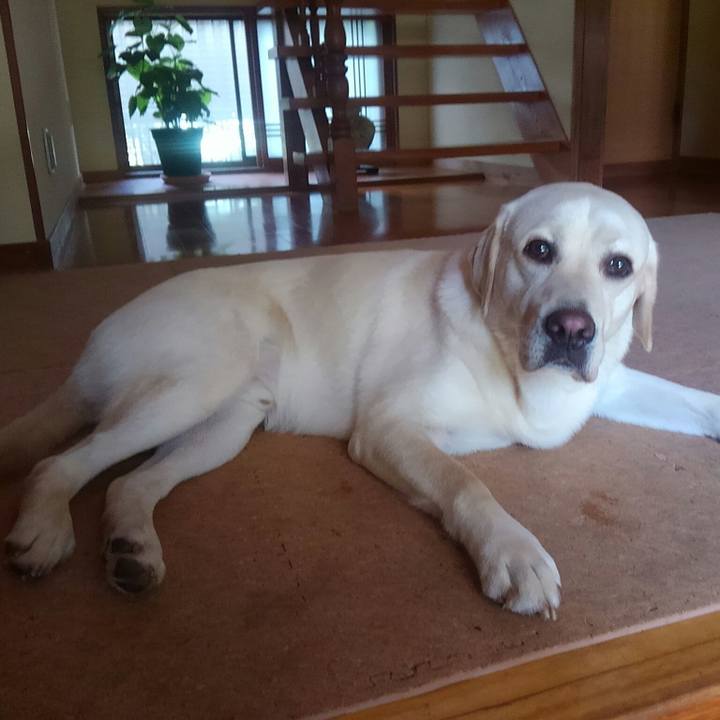 Dacaf548 9c7b 4d0c 963c 4dcc824512c7