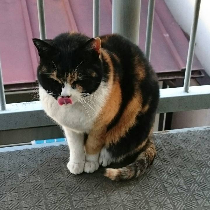 Dacba521 647c 4eb5 985e e54d91b25318