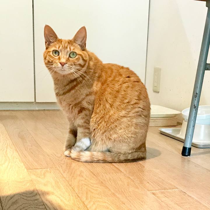 Daccf1ee ab2a 4626 8eb2 ec2db953be49