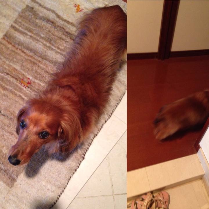 Dacd2352 d27a 4edf b812 8bbeb4a2fc88