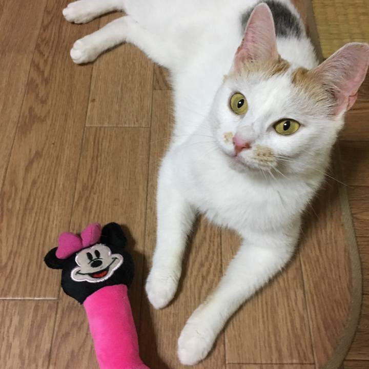 Daceaf80 a251 49d5 88d7 1cc8de326d8c