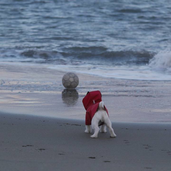 Daceb4b3 be3b 4f5a 9f1e 32de67dcb5c4