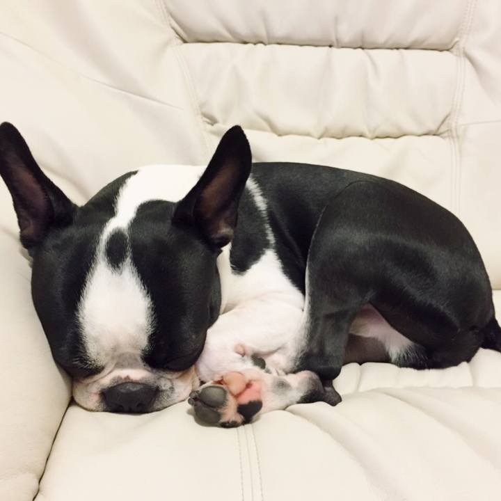 Dacefd9f a13c 43a1 9340 1b56768f6df8