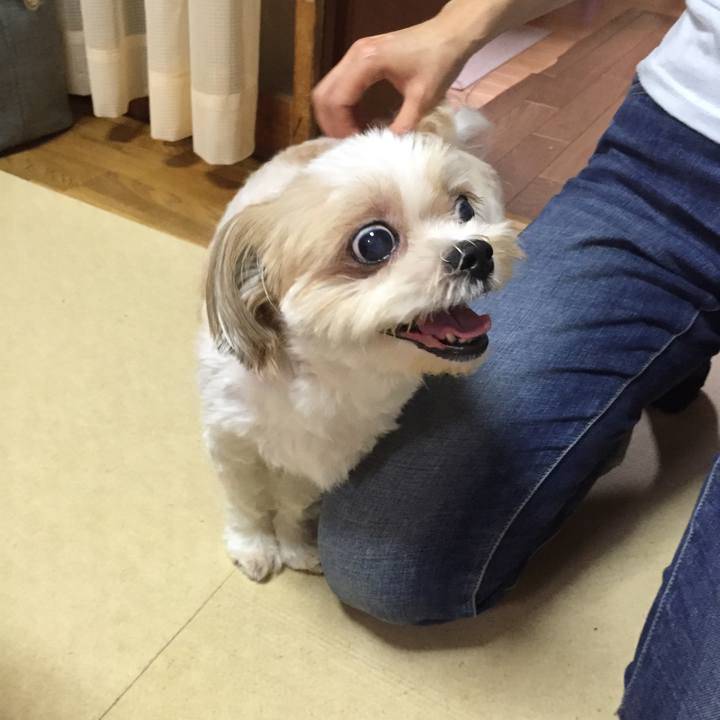 Dacf1ece ca7e 46ae a64a 16b104d0c40f