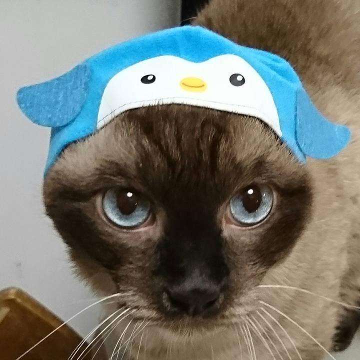 Dad0404e 7bc8 4a46 b48b a3cf48e98da1